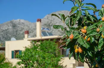 Apartment Naxos *